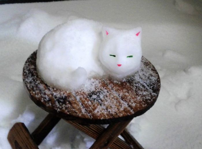 Heavy-Snow-Tokyo