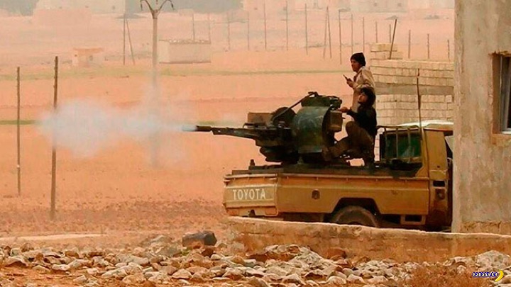 Тойоты – это к войне! авто и мото