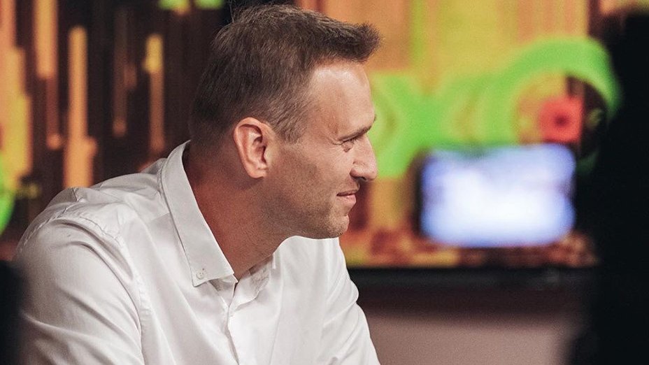 Рогов назвал критикующего Конституцию Навального слабым «политиком»