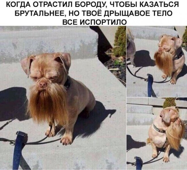 Юмор на разные темы Юмор на разные темы