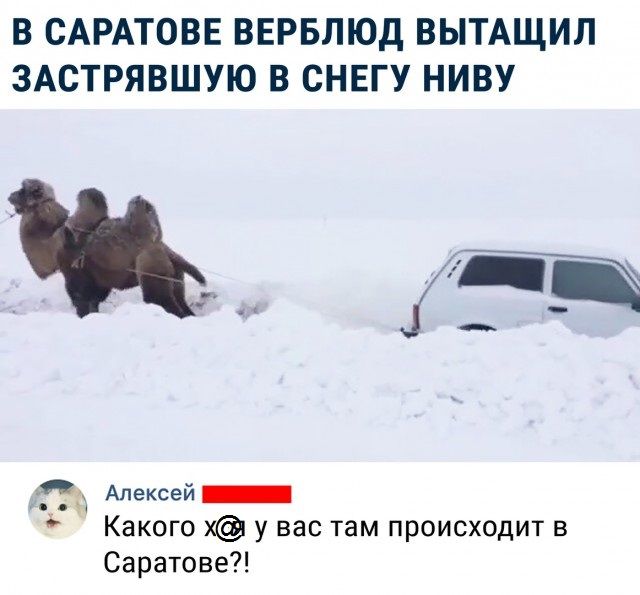 Смех в картинках анекдоты