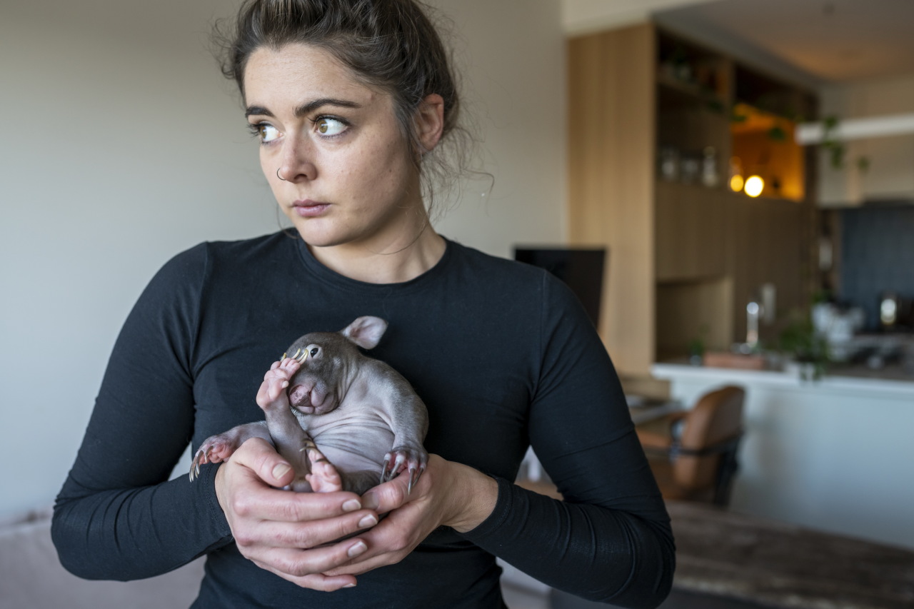 Финансовая тревожность: почему зумеры всегда жалуются на «чувство нищеты» жизнь, финансовой, сравнения, успеха, негативно, финансовую, влияет, собственных, быстро, способность, дохода, реальные, цифры, источник, несостоятельности, устойчивость, всегда, сейчас, действительно, состояния