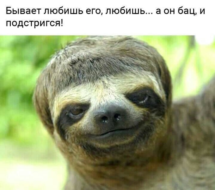 Стоят девчонки, стоят в сторонке, платочки в руках теребят… Потому что на десять девчонок, по статистике: — 3 голубых, 4 алкоголика, 2 разведенных, 2 наркомана и 1 нормальный, но он женат… Стоят девчонки, стоят в сторонке, платочки в руках теребят… Потому что на десять девчонок, по статистике: — 3 голубых, 4 алкоголика, 2 разведенных, 2 наркомана и 1 нормальный, но он женат… анекдоты,демотиваторы,отношения,приколы,юмор