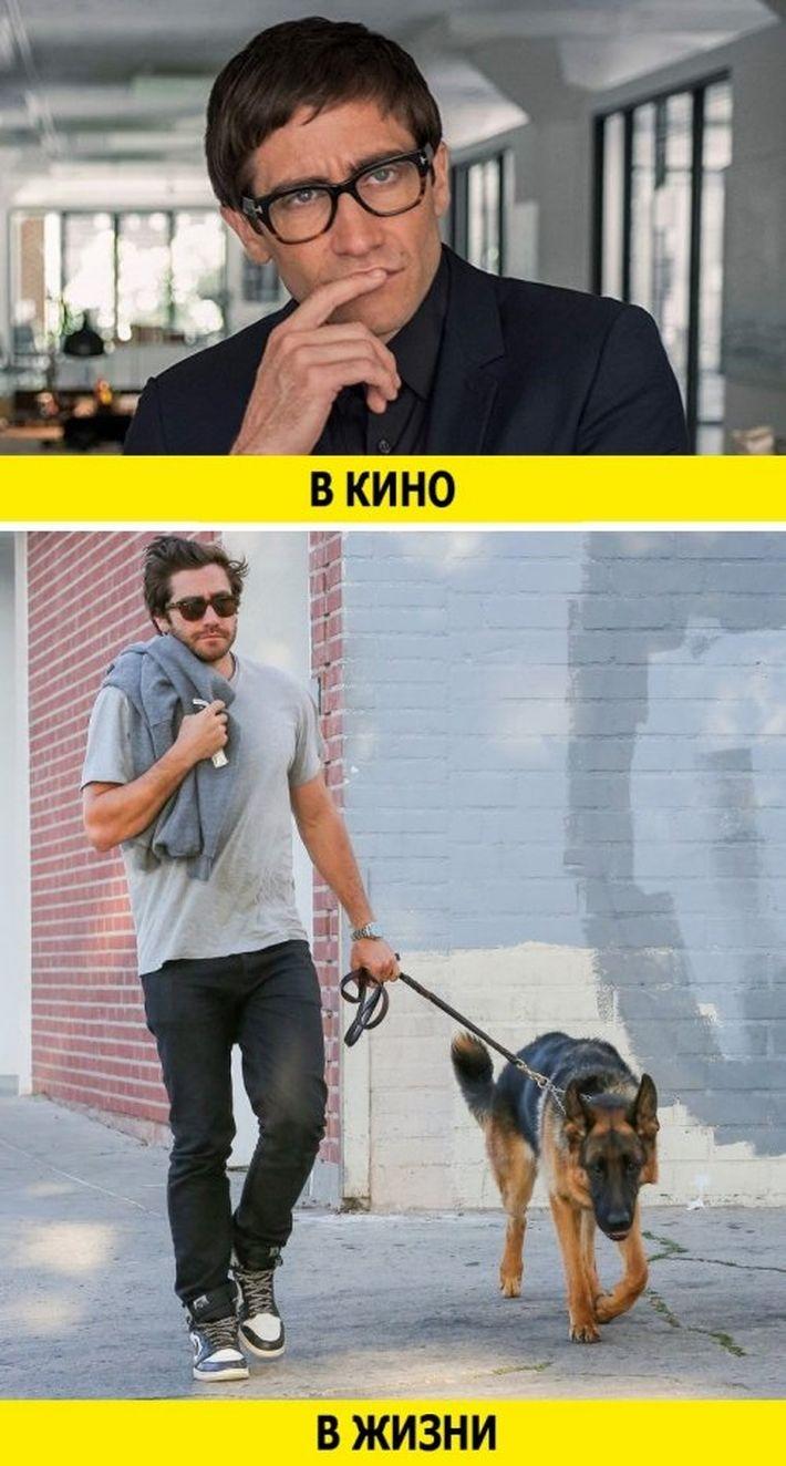 12 актеров в фильмах и реальной жизни глазами их жен и друзей 12 актеров в фильмах и реальной жизни глазами их жен и друзей папарацци,свежие новости,частная жизнь знаменитостей