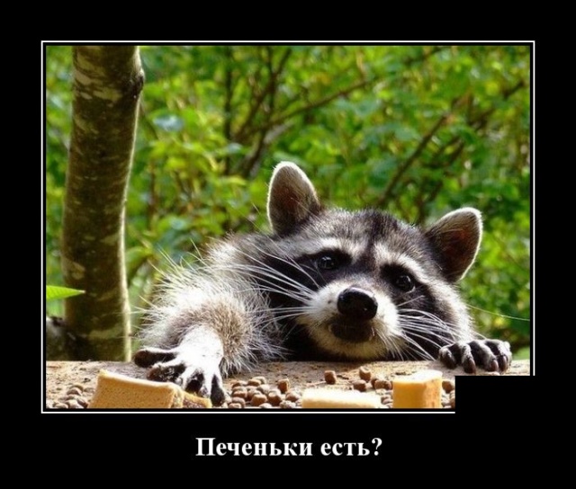 Очередная подборка прикольных и смешных демотиваторов 