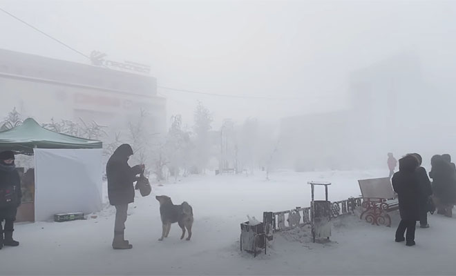 Якутск зимой на видео. На улице -50, но люди гуляют по улице, как будто тепло местные, большинству, жизнь, градусов, жители, видео, минимальной, лучше, прогулок Конечно, погода, подходящая, самая, будто, обычная, совершенно, впечатление, кипит, Вокруг, проспекта, вдоль