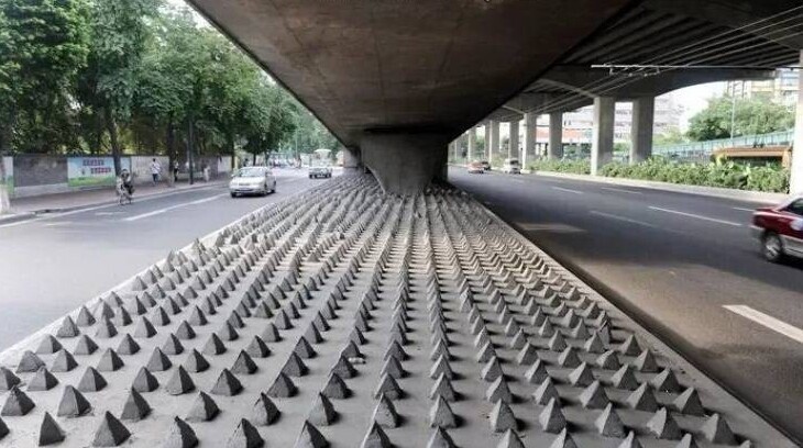 Фотография: 40 отборных картинок для того, чтобы немного отвлечься №13 - BigPicture.ru