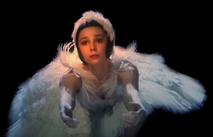 Оленьке из «Мой ласковый и нежный зверь» уже 58, и она так же молода и изящна Оленьке из «Мой ласковый и нежный зверь» уже 58, и она так же молода и изящна актриса,кино и тв,Мой ласковый и нежный зверь»,наши звезды,фильм,шоу,шоубиз