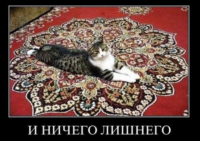 Демотиваторы дня: «Овощ, который знает ВСЁ!»  