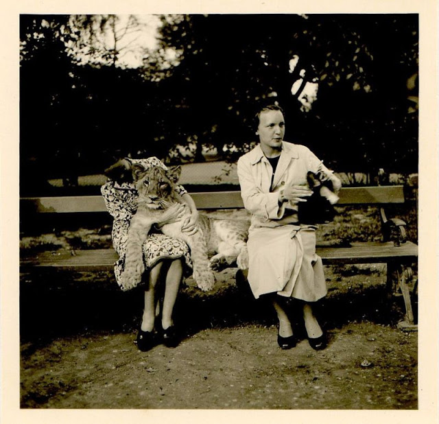 Дружба животных и людей на фотографиях 19 века