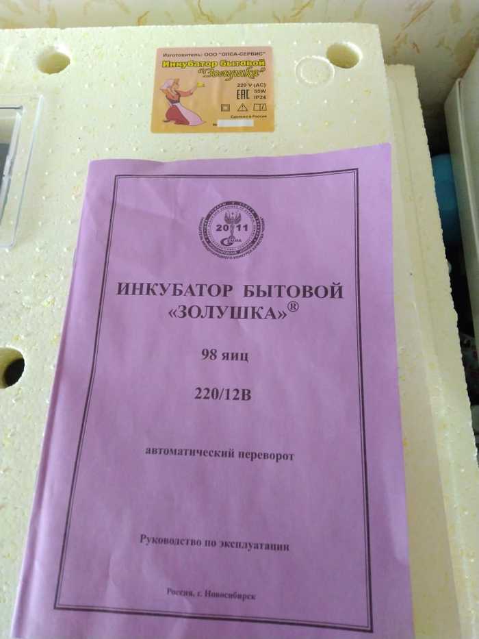 Можно ли вырастить перепелов из яиц, купленных в Ашане? домашний очаг,мастерство,перепела,рукоделие,своими руками,умелые руки