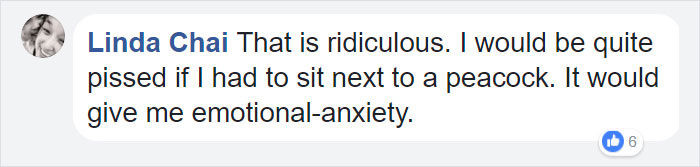 airport-denied-flight-emotional-support-peacock-dexter-4