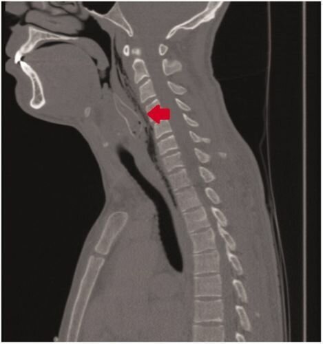 Аквариумный убийца, или Не обижайте маленьких Аквариумный убийца, или Не обижайте маленьких