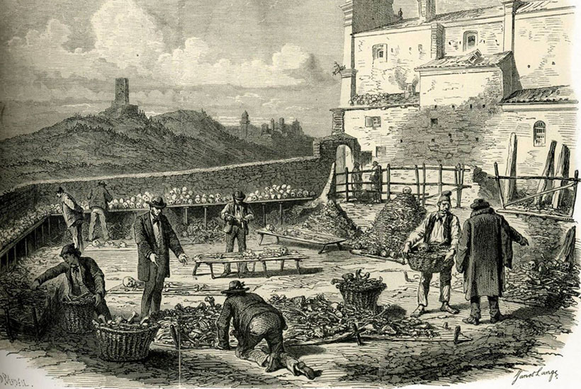 Культ черепа в истории человечества 