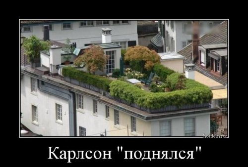 Прикольных демотиваторов пост