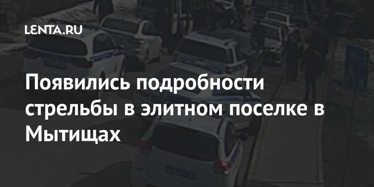 Появились подробности стрельбы в элитном поселке в Мытищах Силовые структуры