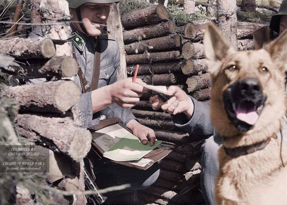 Как брали "линию Маннергейма".