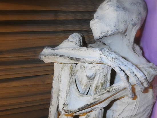 СМИ: трехпалая перуанская мумия оказалась неизвестным науке гуманоидом