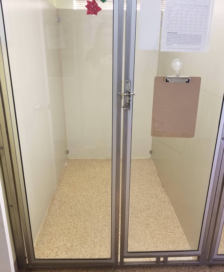 Трогательные и вдохновляющие фотографии, которые никого не оставят равнодушным... Трогательные и вдохновляющие фотографии, которые никого не оставят равнодушным... жизнь,любовь,позитив,фотографии,эмоции