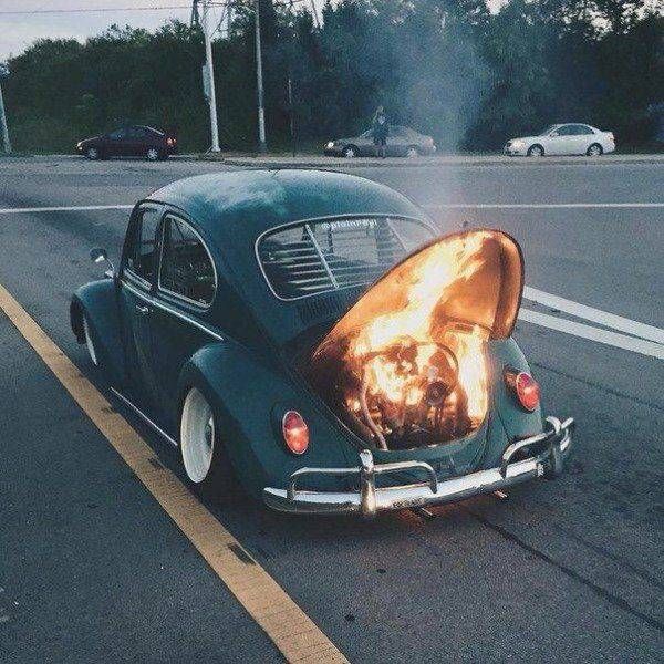 Свежие картинки и фото приколы для настроения Свежие картинки и фото приколы для настроения