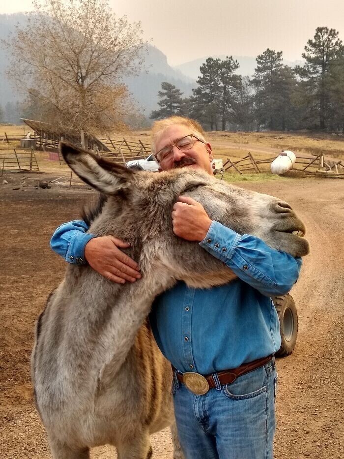 Мужчина воссоединился со своим осликом после пожара