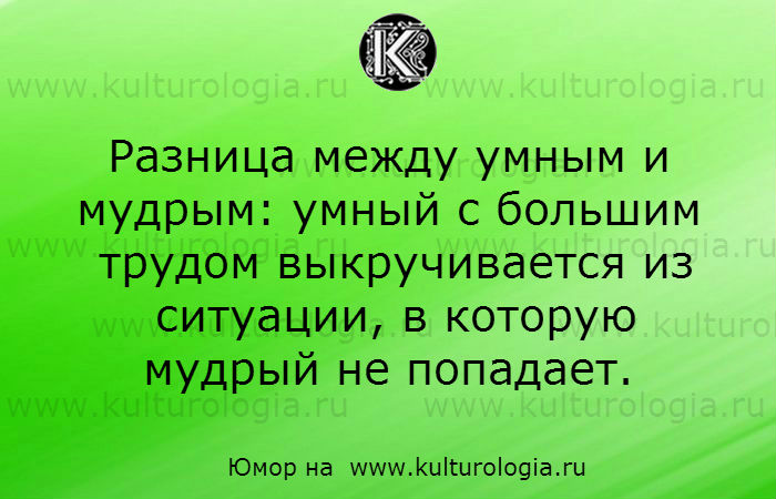 Чем отличаются умные. Разница между умным и мудрым. Чем отличается умный от Мудрого. Умный Мудрый разница. Отличие умного от Мудрого человека.