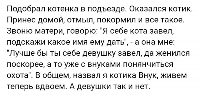 Подборка забавных картинок и веселых фотографий с надписями Подборка забавных картинок и веселых фотографий с надписями Смешные картинки с надписями до слез
