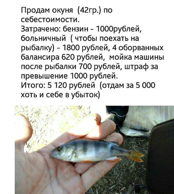 Жена собирает мужа на рыбалку