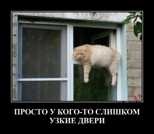 Прикольные демотиваторы на Юморине 