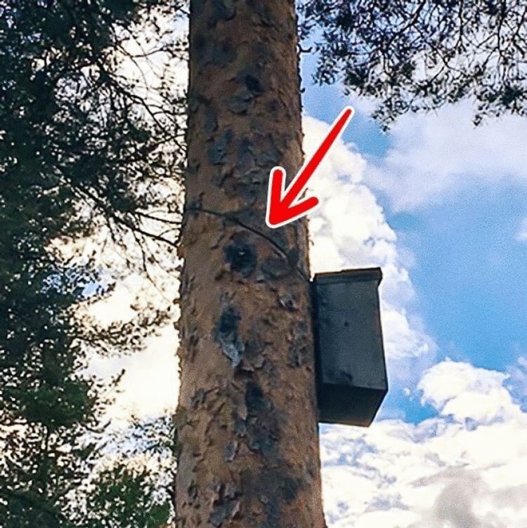 17 бытовых мелочей, которые заставляют люто завидовать финнам 