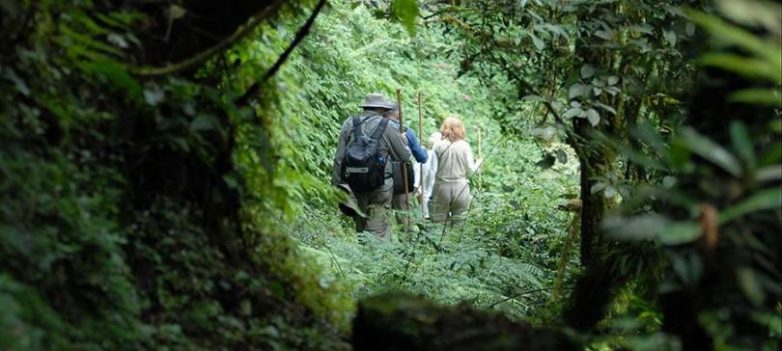 Места планеты для путешественников — любителей экстрима Места планеты для путешественников — любителей экстрима