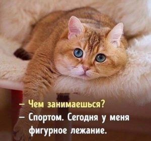 25 классных анекдотов и шуток