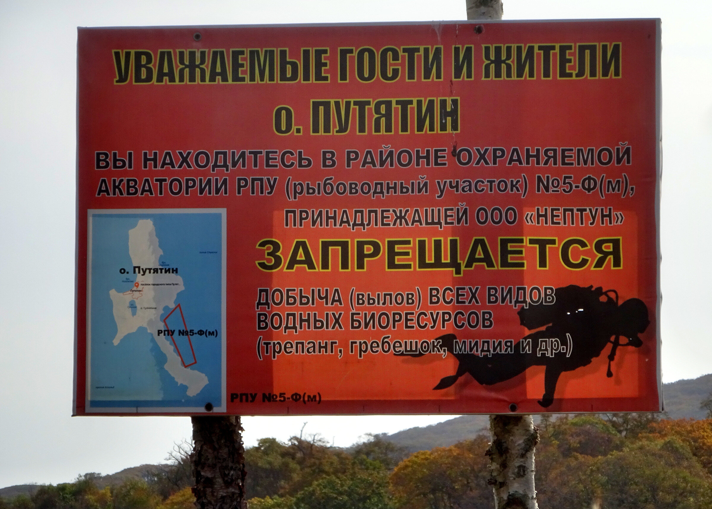 Остров Путятина Приморский край паром расписание 2021