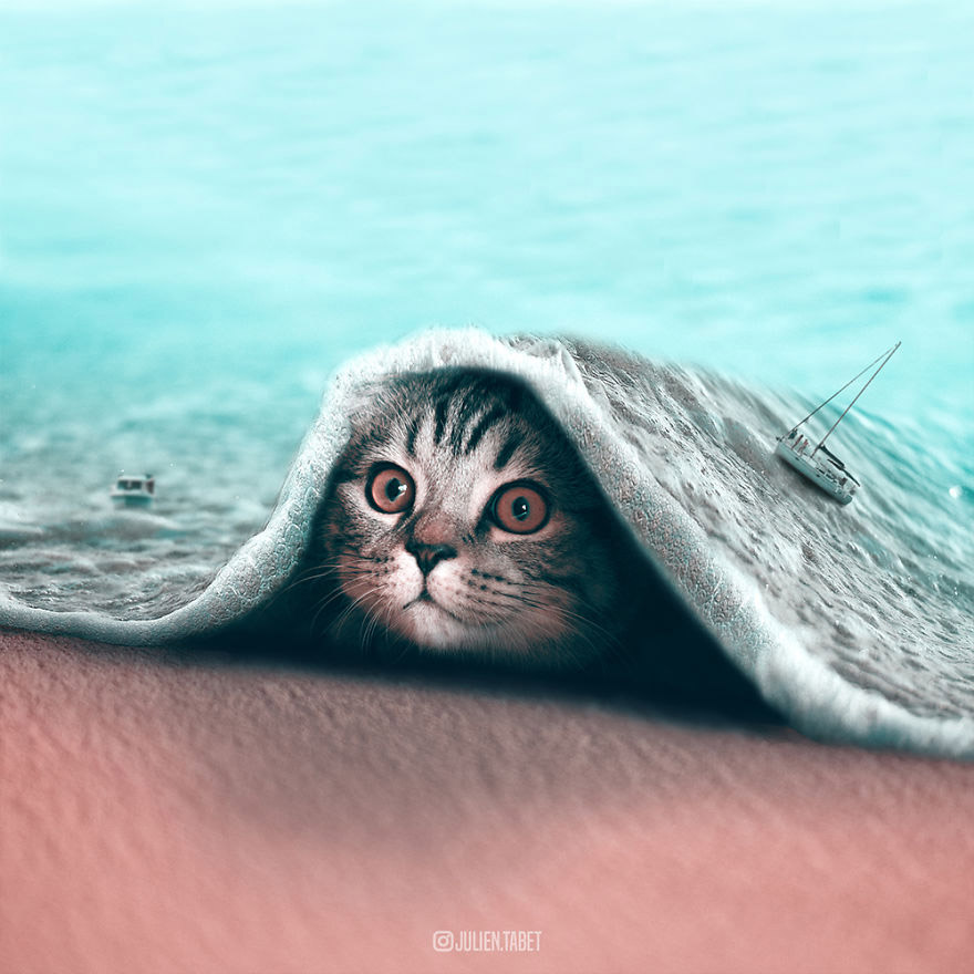 Животные и ассоциации Животные и ассоциации животные