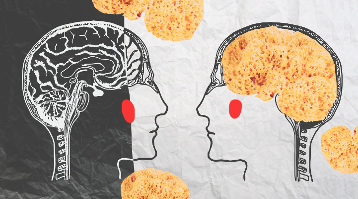 Запрещенный диагноз: что такое прионные болезни и как от них умирают россияне