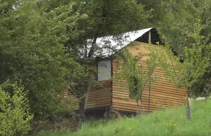 34-летнего мужчину в Чехии разорвал собственный лев 34-летнего мужчину в Чехии разорвал собственный лев