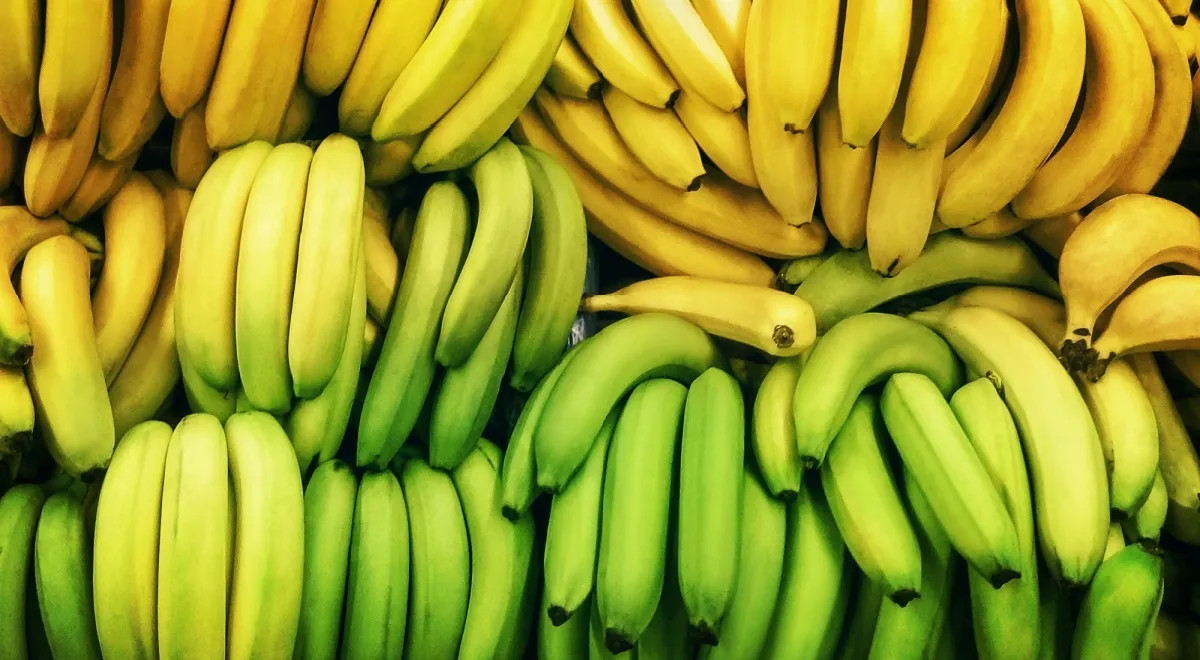 13 полезных зеленых продуктов — от тропического киви до ароматного базилика 13 полезных зеленых продуктов — от тропического киви до ароматного базилика зеленые, просто, Также, также, слишком, можно, здоровья, холестерина, много, рацион, чтобы, важно, диабета, витамина, благодаря, Например, лучше, зеленых, рационе, помогают