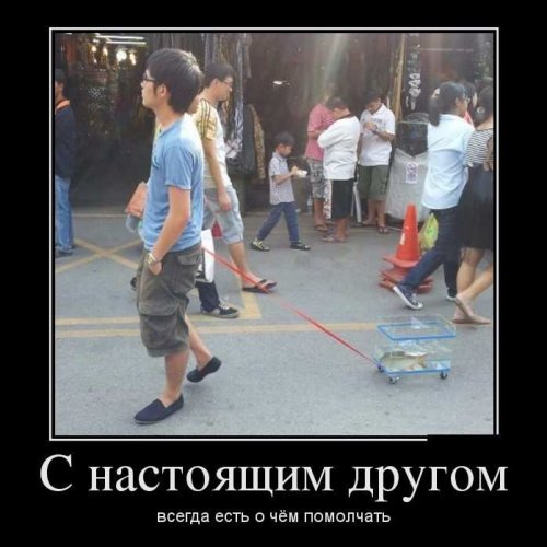 Прикольных демотиваторов пост Прикольных демотиваторов пост