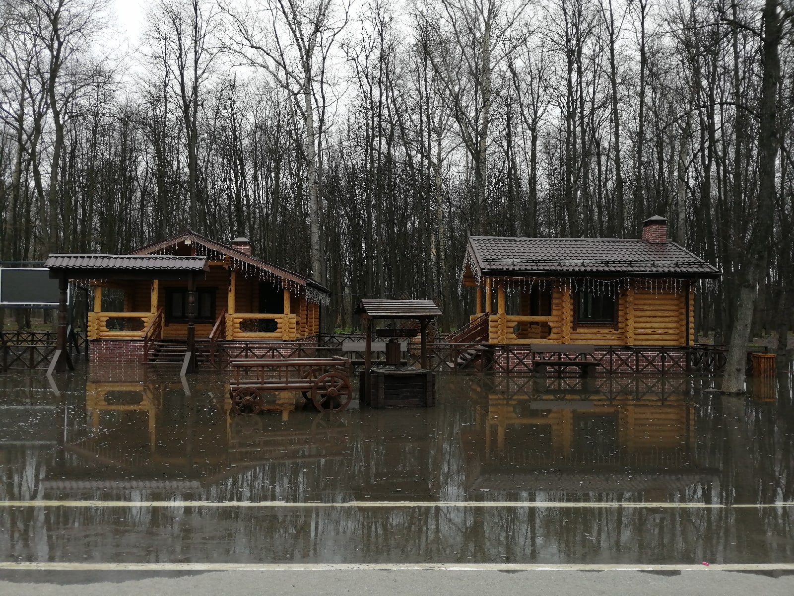 В Рязани затопило Лесопарк
