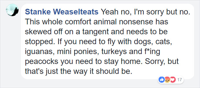 airport-denied-flight-emotional-support-peacock-dexter-5