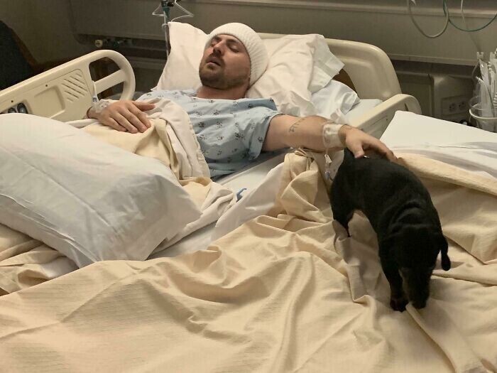 "Персонал больницы разрешил моей собаке быть со мной после операции на мозге"