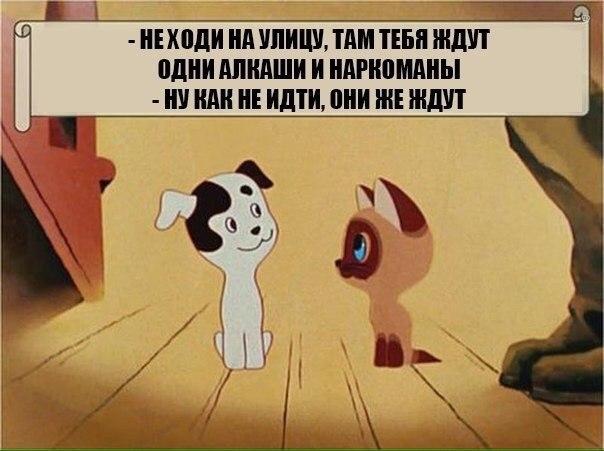 Забавные надписи к фотографиям и картинкам Забавные надписи к фотографиям и картинкам