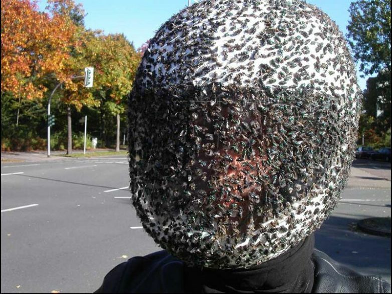 Ужасы природы, с которыми мало кто пожелал бы встретиться Ужасы природы, с которыми мало кто пожелал бы встретиться планета,природа