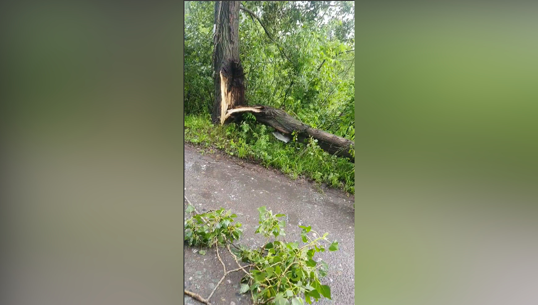 Ливень с грозой. Гроза. Фёдор иванович тьчев весенняя гроза. Сначала мелькнула неяркая молния и разрезала. Молния.