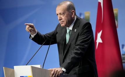 Турция предупредила ЕС, что пойдёт своим путём геополитика,г,Москва [1405113]
