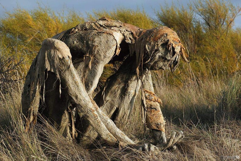 Персонажи «Ходячих мертвецов» оживают: скульптуры, которые могут присниться в самом страшном сне интересное,искусство,природа,скульптура