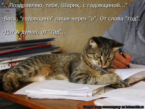 Новая котоматрица (21 фото)