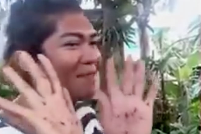 Семерых одним махом: как ловят комаров в Таиланде комары