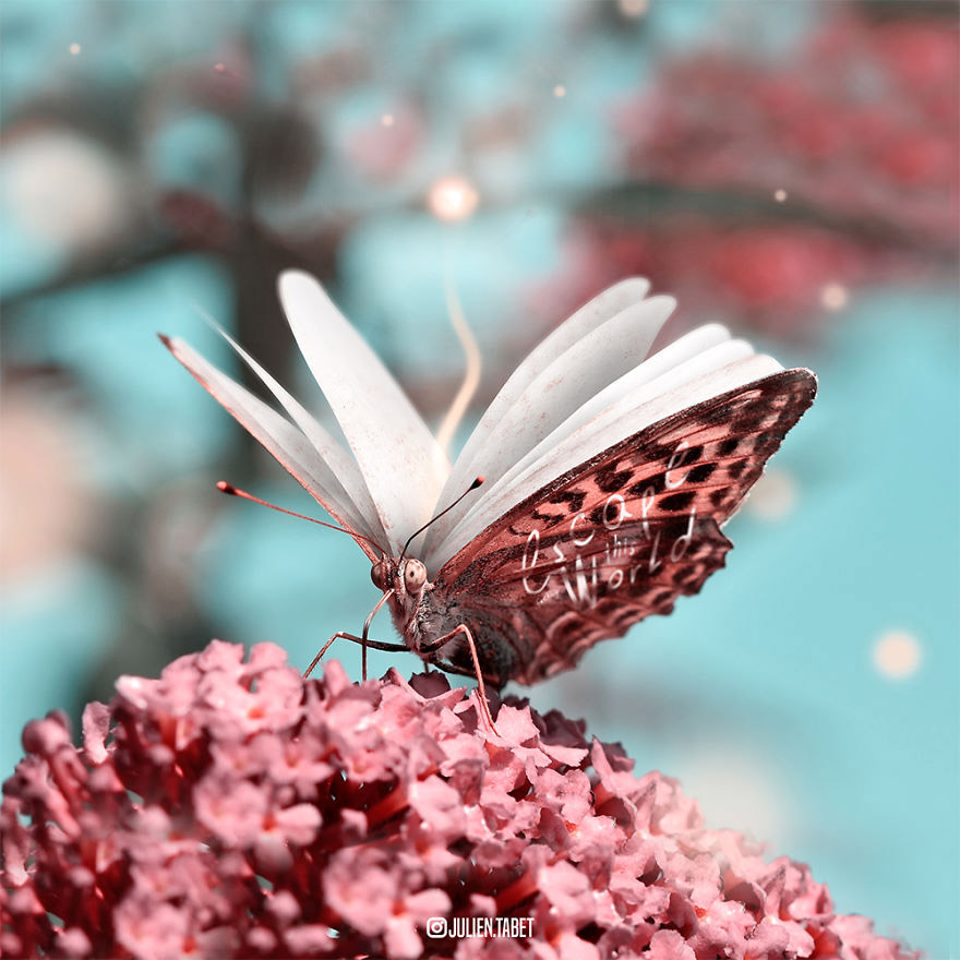 Животные и ассоциации Животные и ассоциации животные