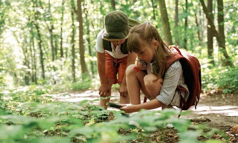 Что делать, если укусил клещ: алгоритм действий
